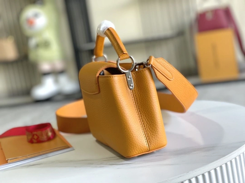Versatile LX Caxucines Bags 21276