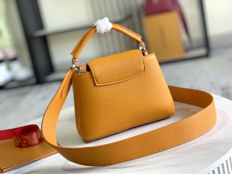 Versatile LX Caxucines Bags 21276