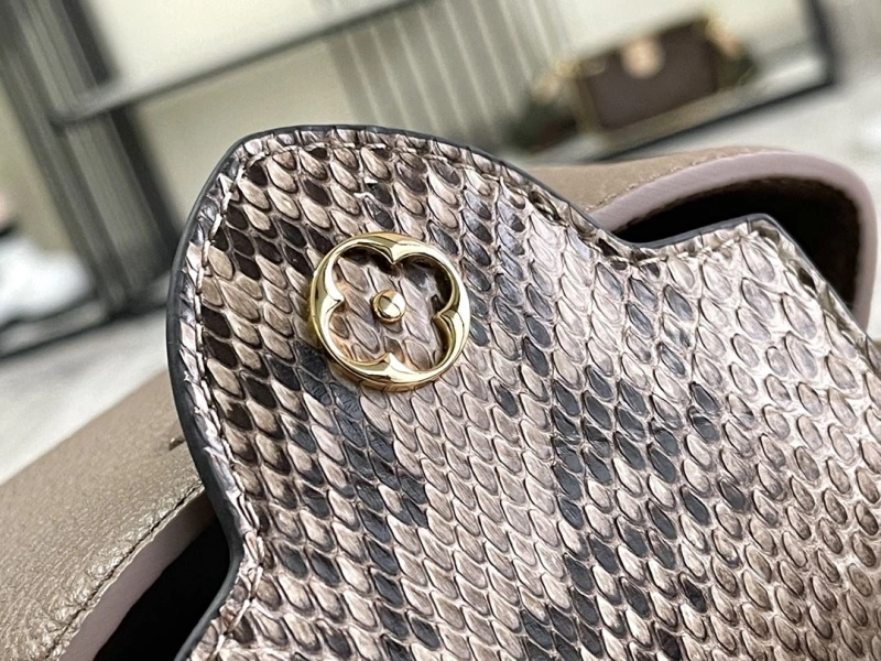 Popular LX Caxucines Bags 21251