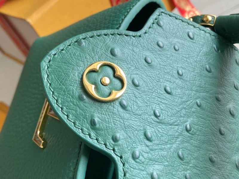 Elegant LX Caxucines Bags 21235