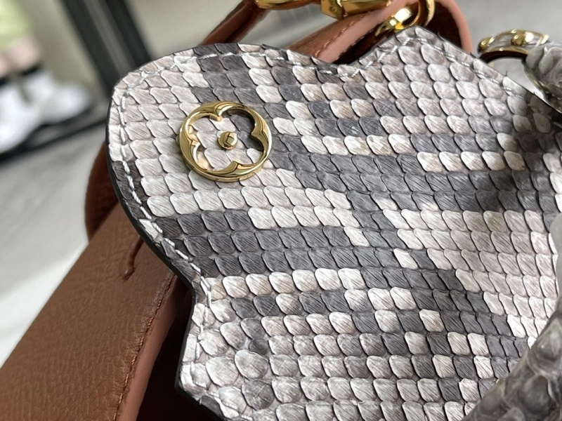 Cozy LX Caxucines Bags 21206