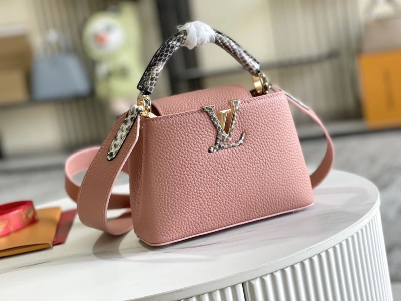 Fashionable LX Caxucines Bags 21197
