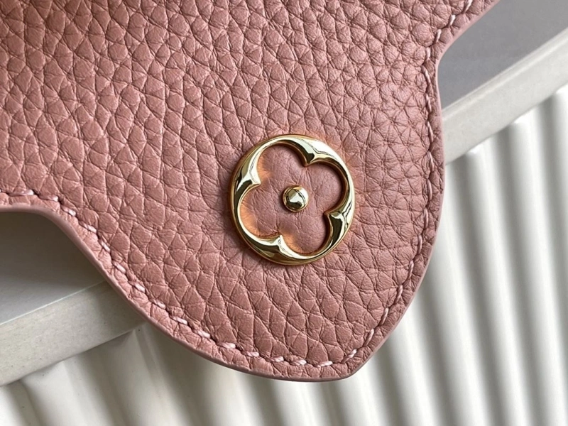 Fashionable LX Caxucines Bags 21197