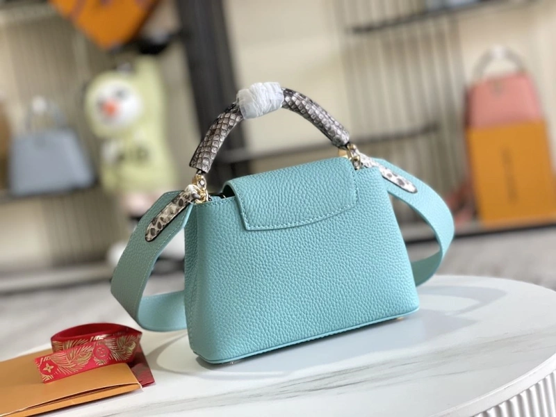 LX Caxucines Bags Modern 21187