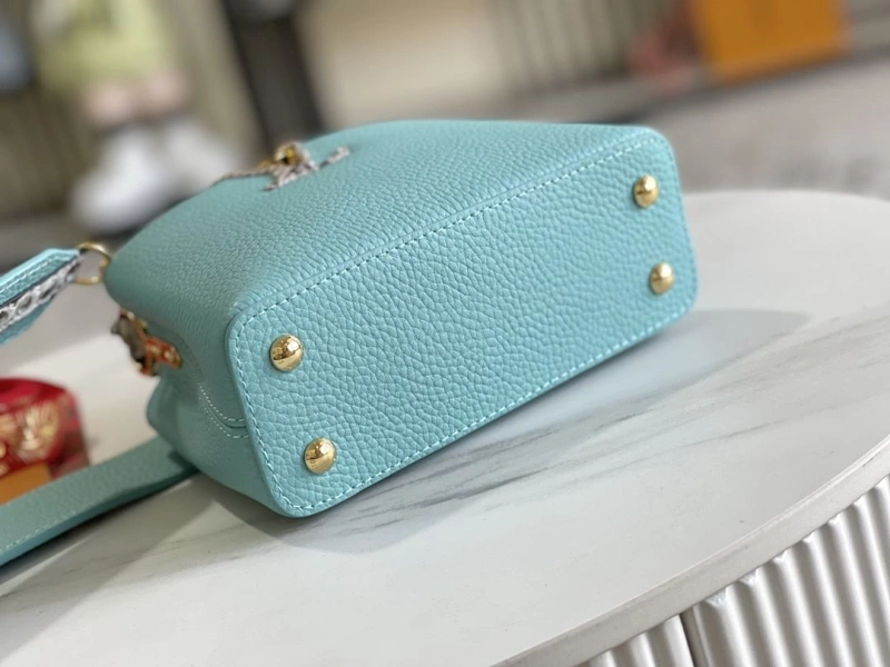 LX Caxucines Bags Modern 21187