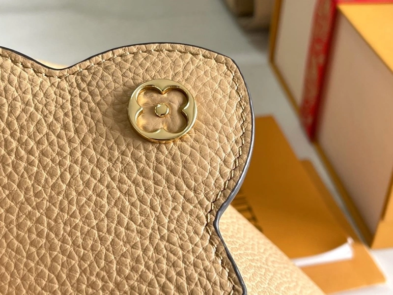 Unique LX Caxucines Bags 21171