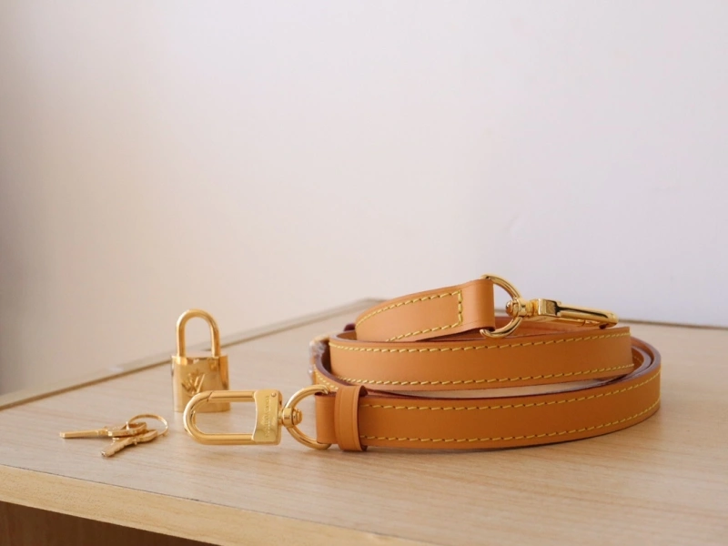 Minimalist LX Speedy Bags 15872