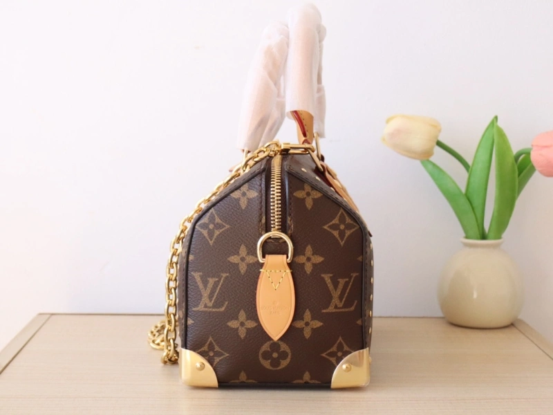 Minimalist LX Speedy Bags 15872