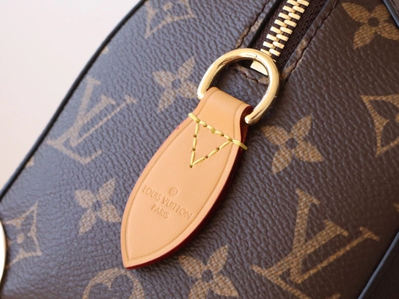 Minimalist LX Speedy Bags 15872