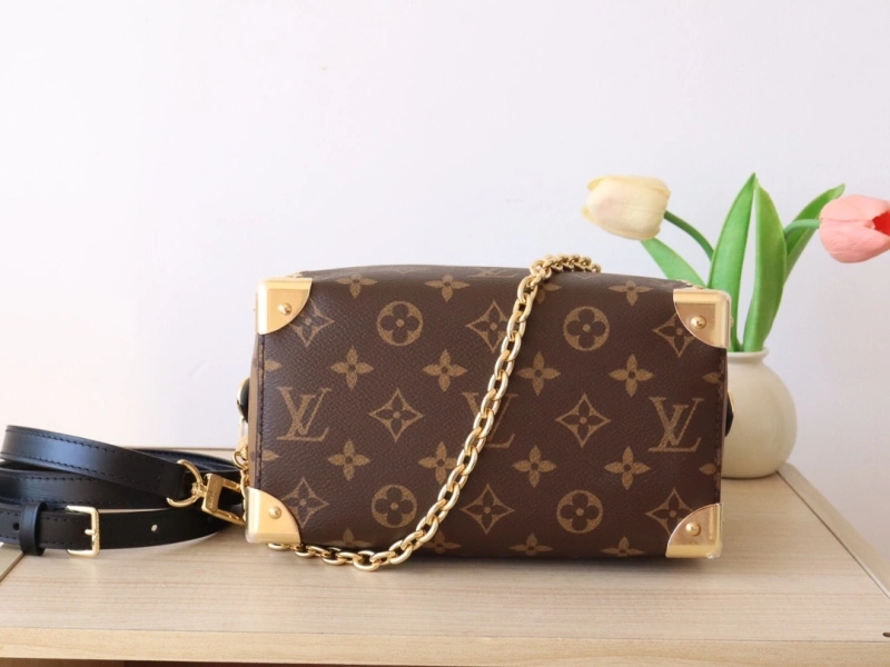 Vibrant LX Speedy Bags 15885