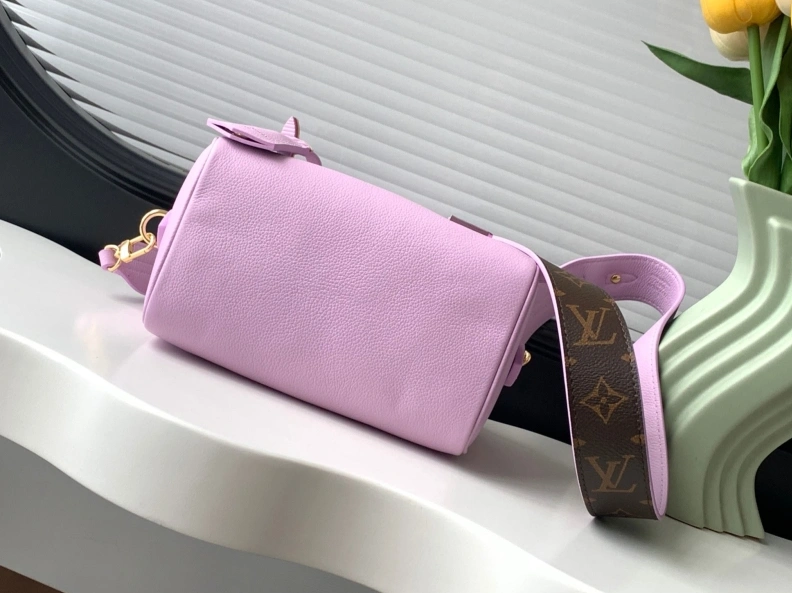 Minimalist LX Speedy Bags 18042