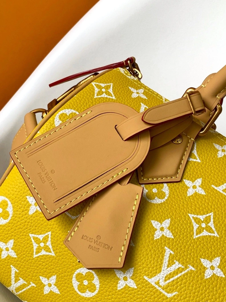 Cozy LX Speedy Bags 18021
