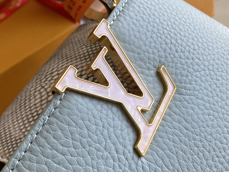 LX Caxucines Bags Sophisticated 20875