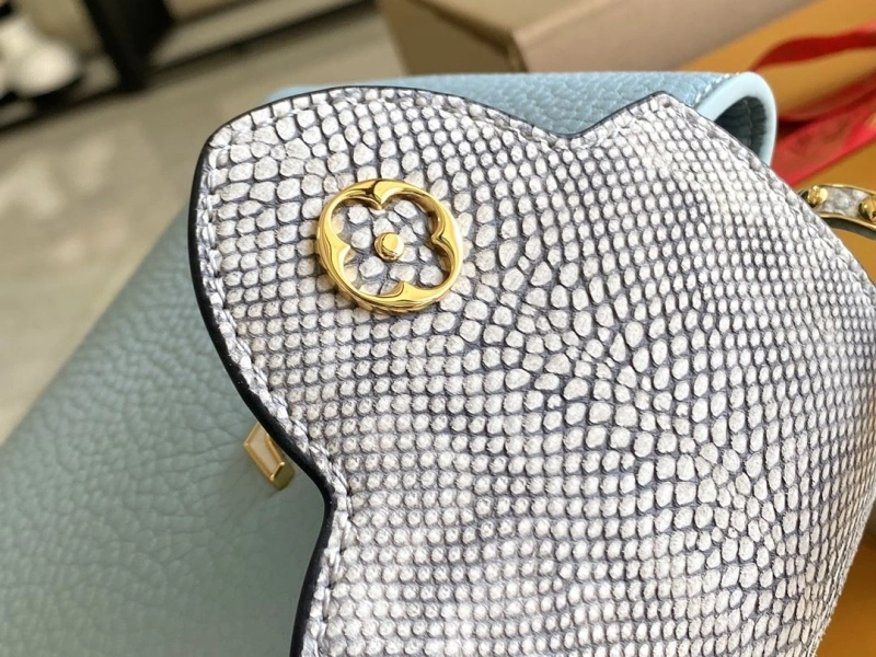 LX Caxucines Bags Sophisticated 20875