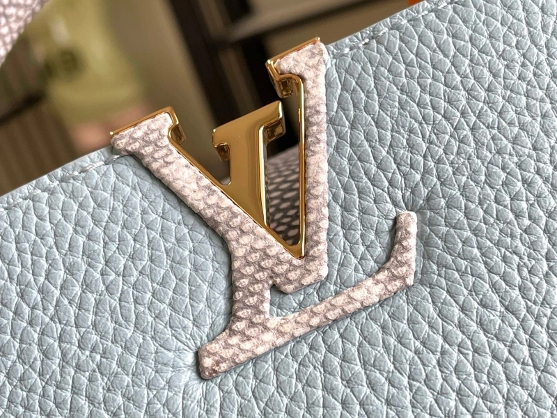 Modern LX Caxucines Bags 20856
