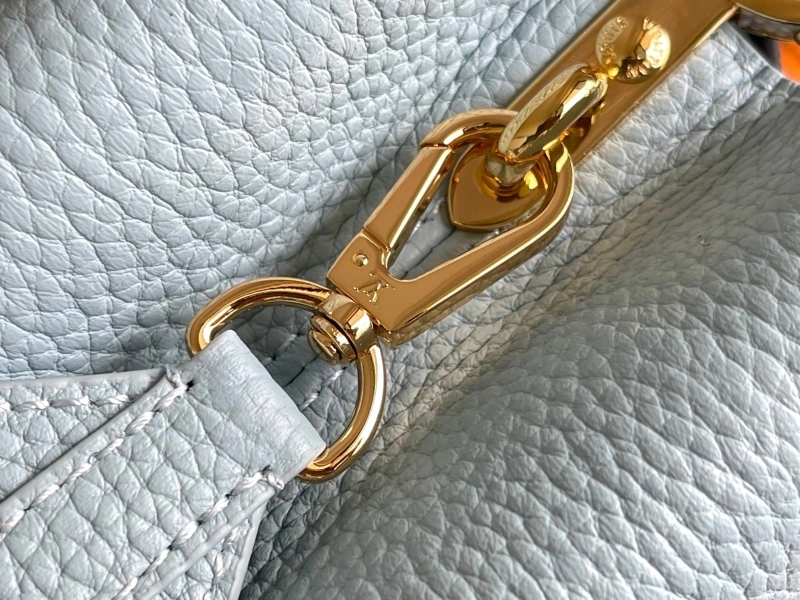 Modern LX Caxucines Bags 20856