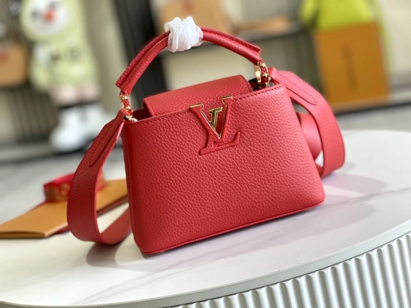 Stylish LX Caxucines Bags 20831