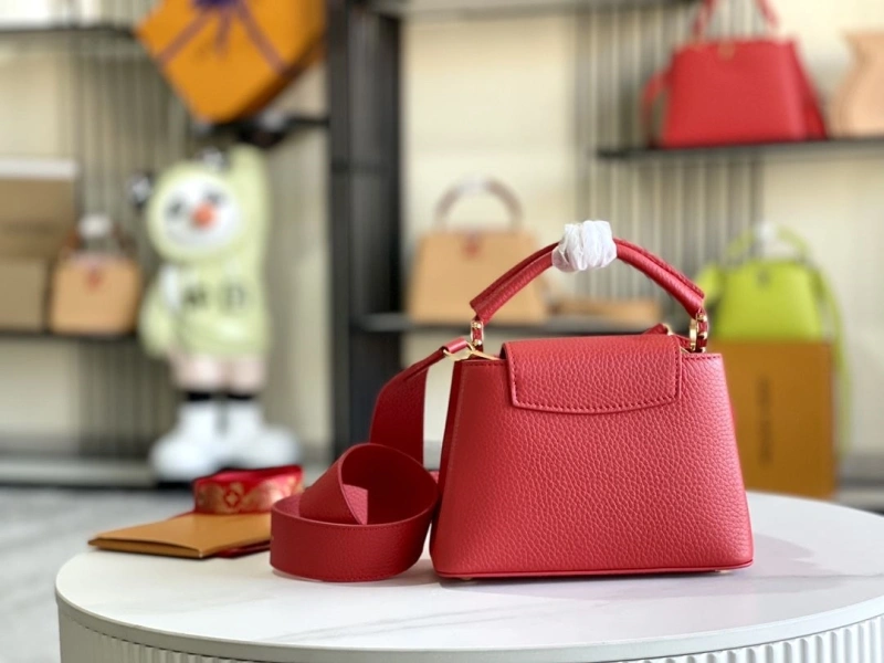 Stylish LX Caxucines Bags 20831
