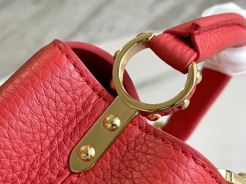Stylish LX Caxucines Bags 20831