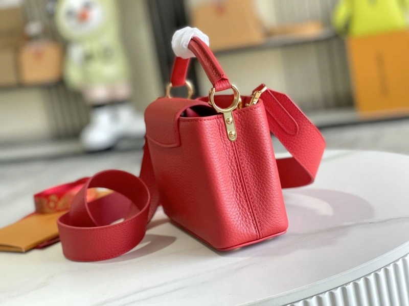 Stylish LX Caxucines Bags 20831