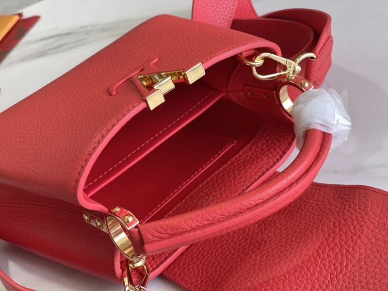 Stylish LX Caxucines Bags 20831
