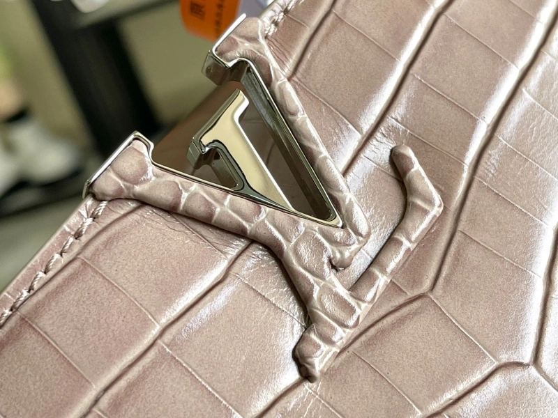 Fashionable LX Caxucines Bags 20815