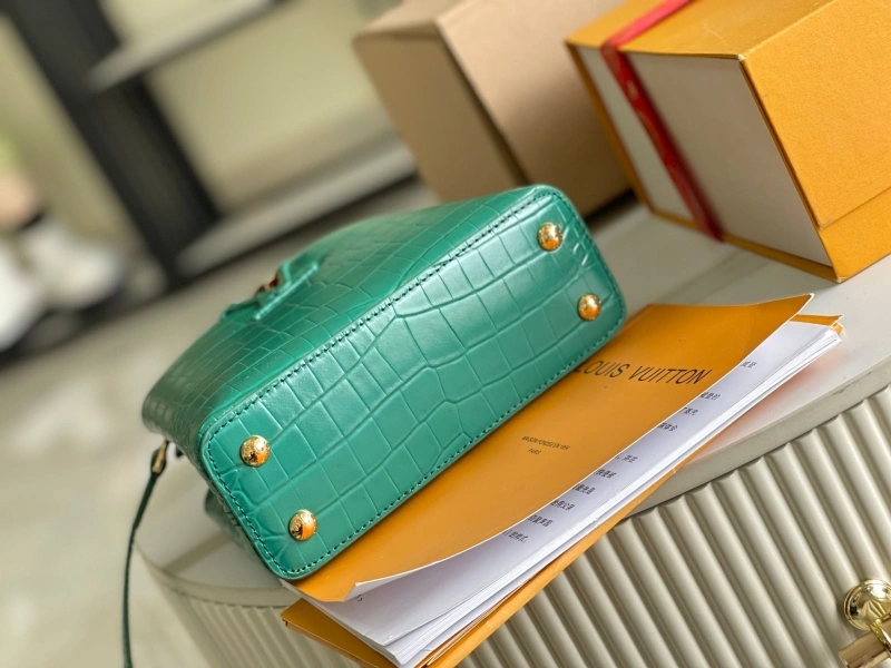 Trendsetting LX Caxucines Bags 20822