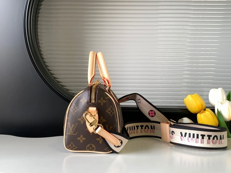 LX Speedy Bags Classic 20111