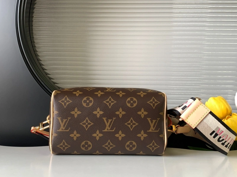 LX Speedy Bags Classic 20111