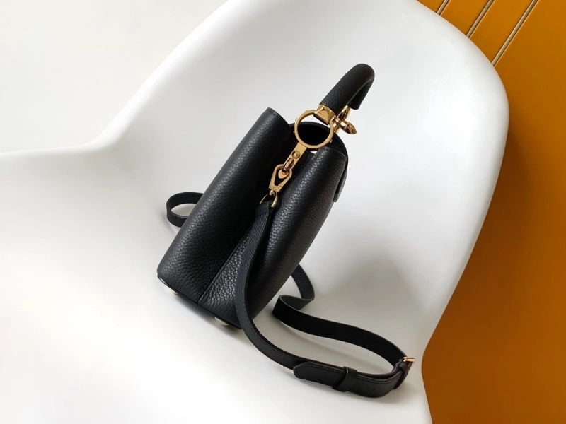 Stylish LX Caxucines Bags 20769
