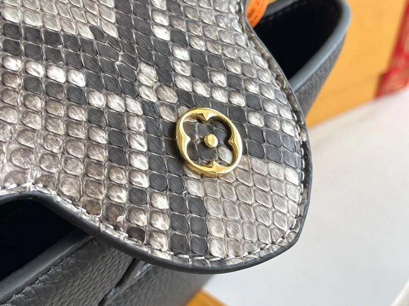 Classic LX Caxucines Bags 17541