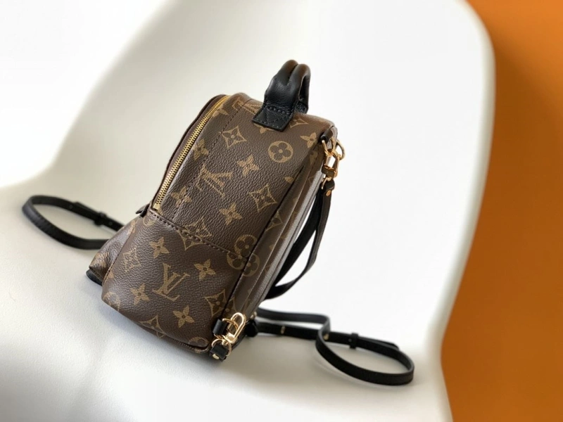Sophisticated LX Backpacks 17582