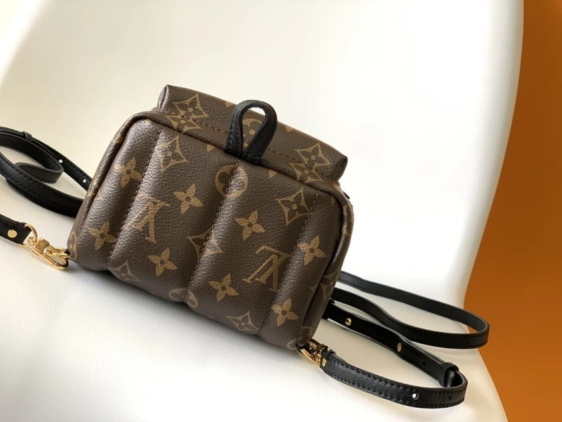 Sophisticated LX Backpacks 17582