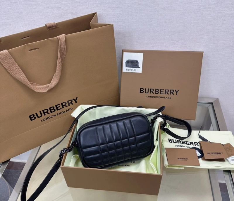 DailyWear Bxrbxrry Satchel Bags 76197