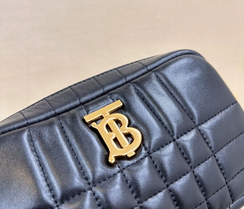 Bxrbxrry Satchel Bags Sleek 76167