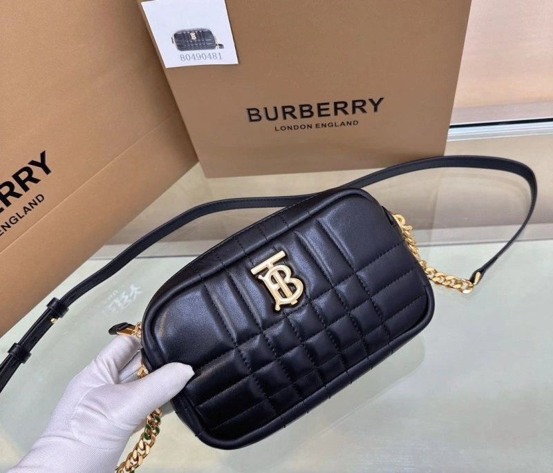 Bxrbxrry Satchel Bags Sleek 76167