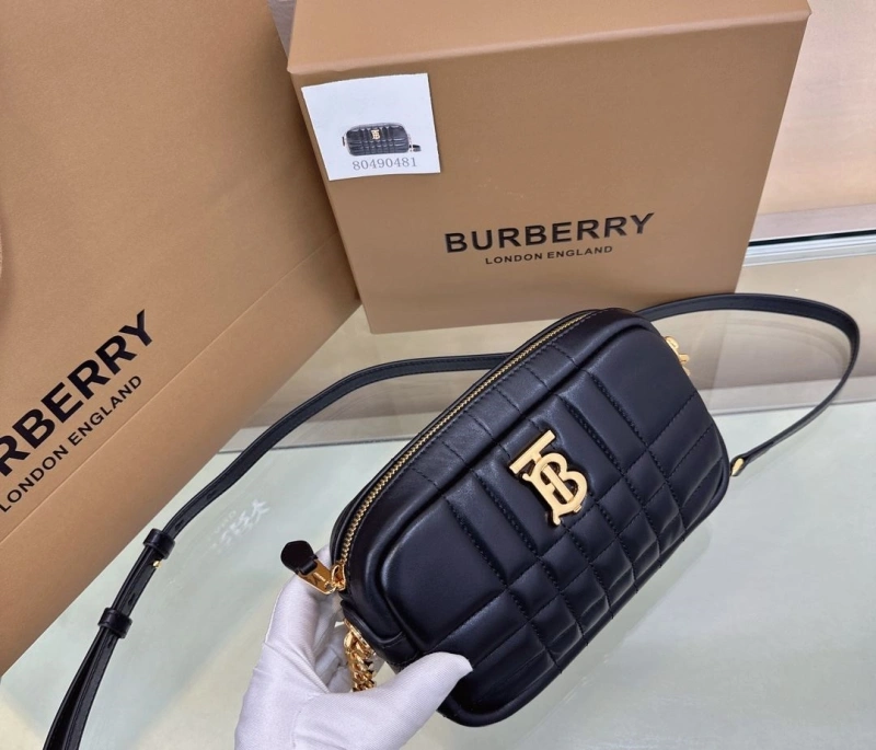 Bxrbxrry Satchel Bags Sleek 76167