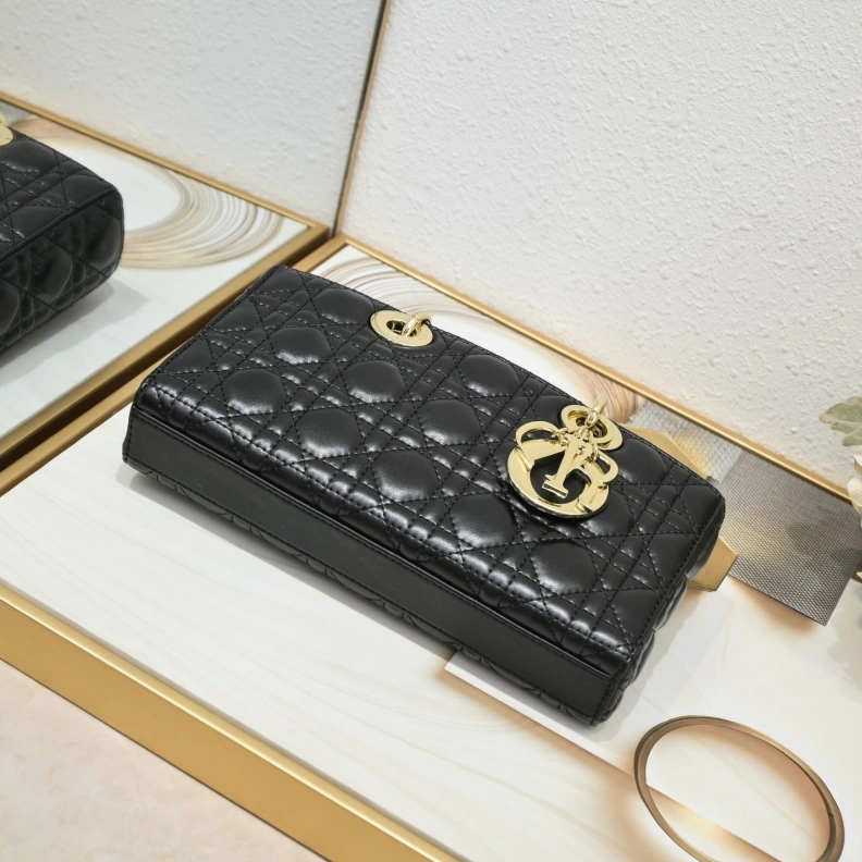 Stylish Dxxr My Lady Bags 62224