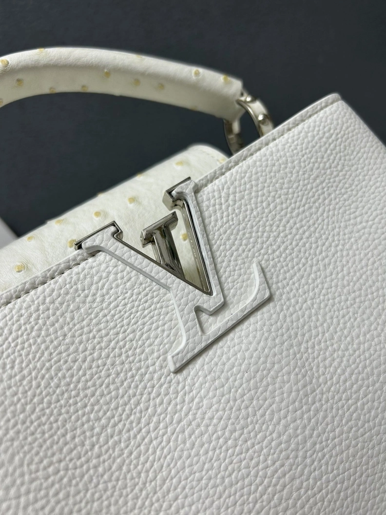 AllSeason LX Caxucines Bags 23765