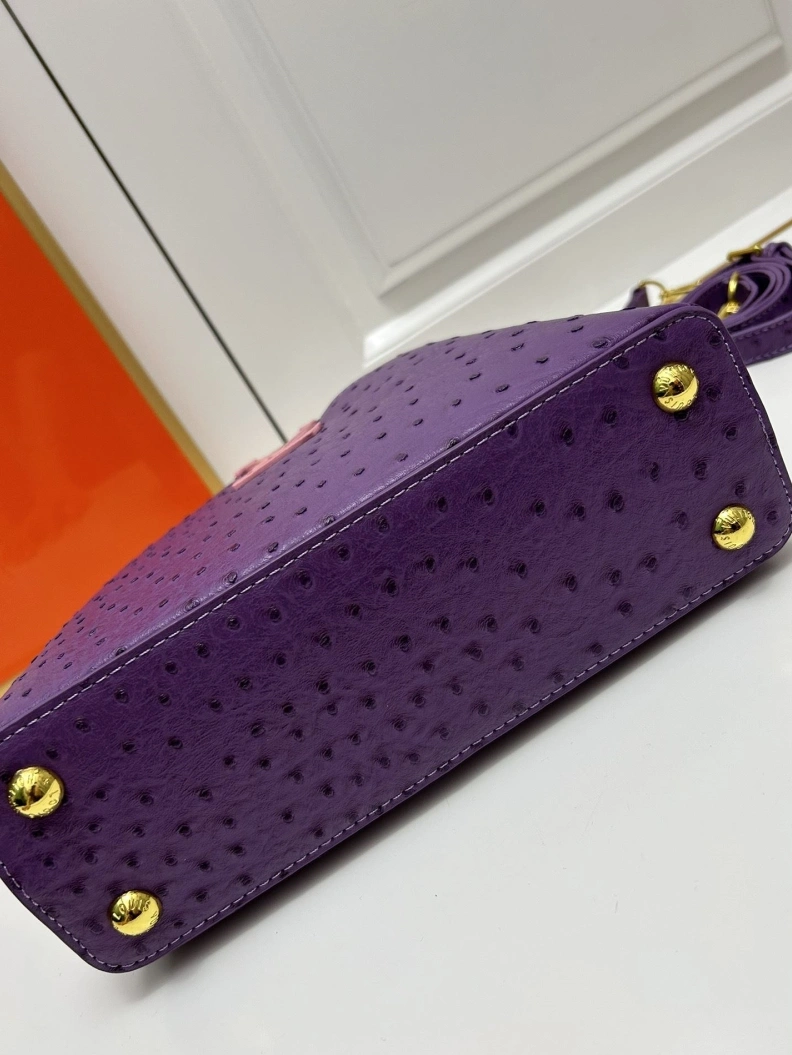 DailyWear LX Caxucines Bags 23775