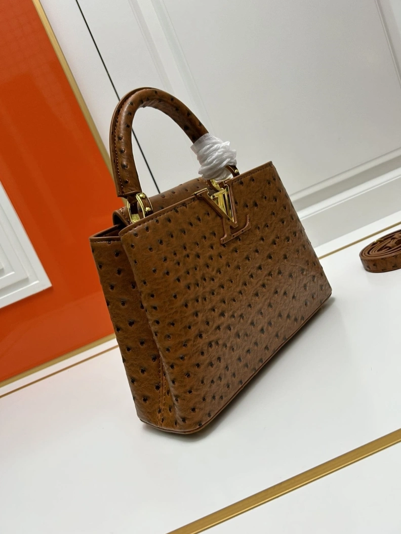 LX Caxucines Bags WellDesigned 23752