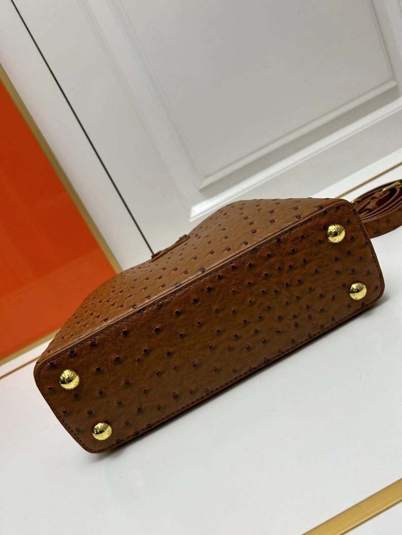 LX Caxucines Bags WellDesigned 23752