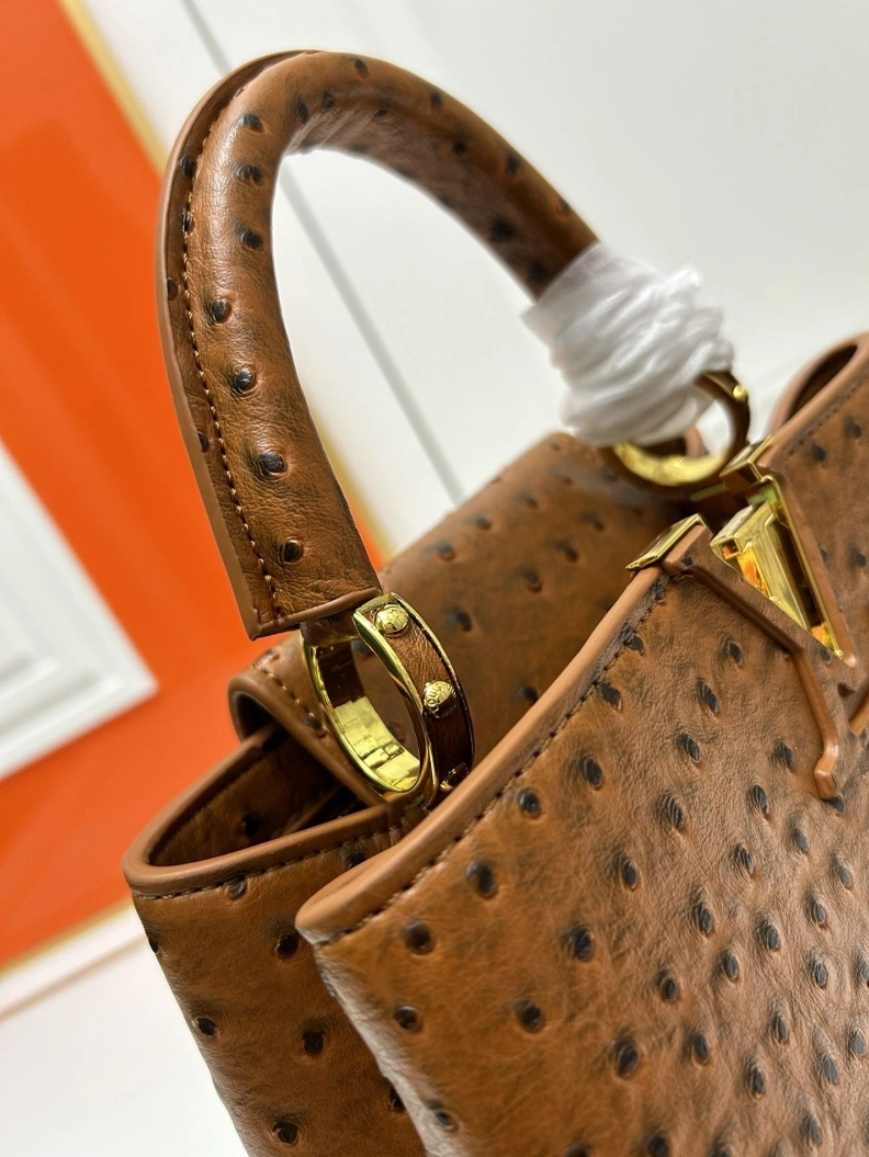 LX Caxucines Bags WellDesigned 23752