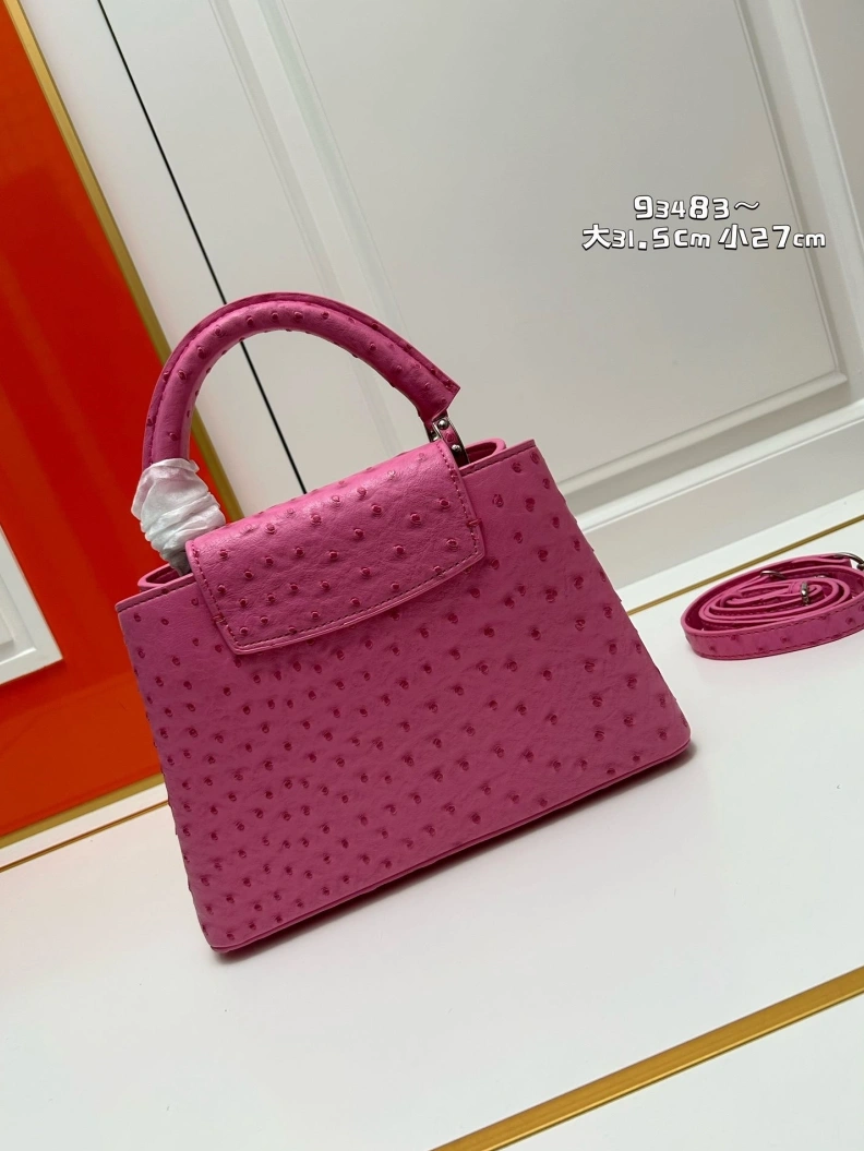Sophisticated LX Caxucines Bags 23738