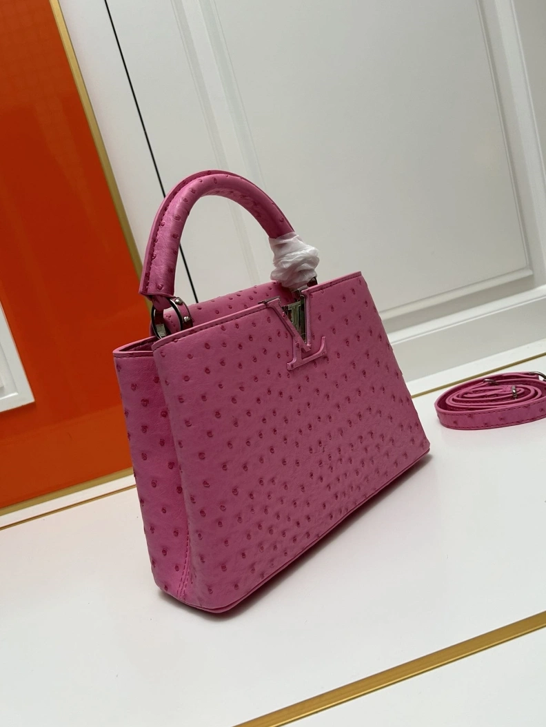 Sophisticated LX Caxucines Bags 23738