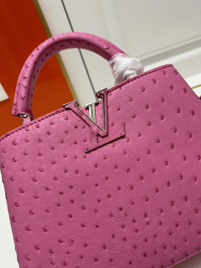 Sophisticated LX Caxucines Bags 23738