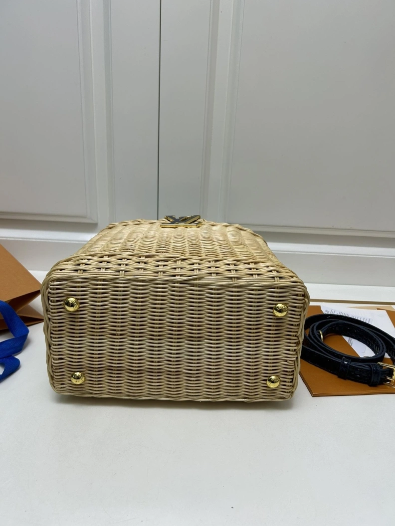 GoAnywhere LX Caxucines Bags 23661