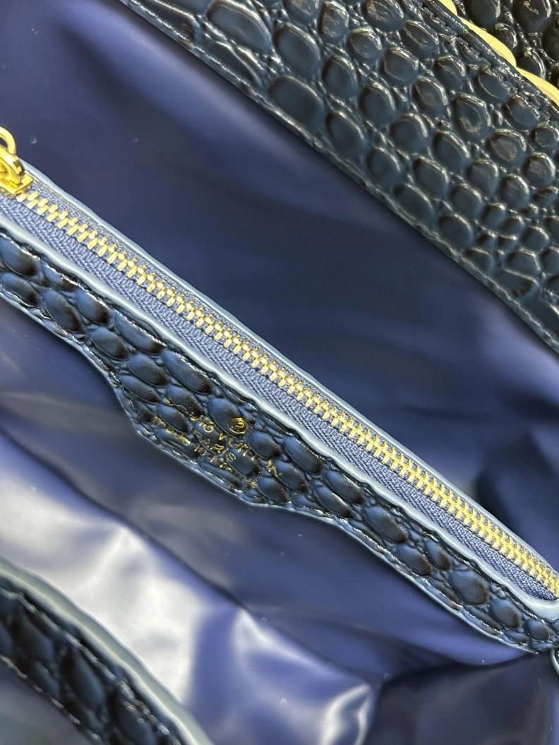 GoAnywhere LX Caxucines Bags 23661