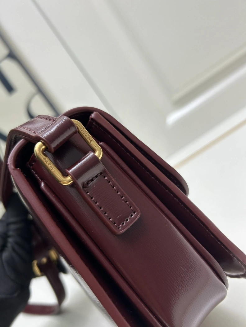 Cxlxne Satchel Bags Modern 78389
