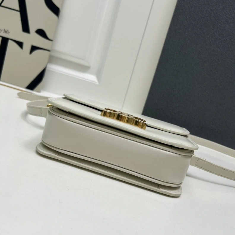 Stylish Cxlxne Satchel Bags 78386